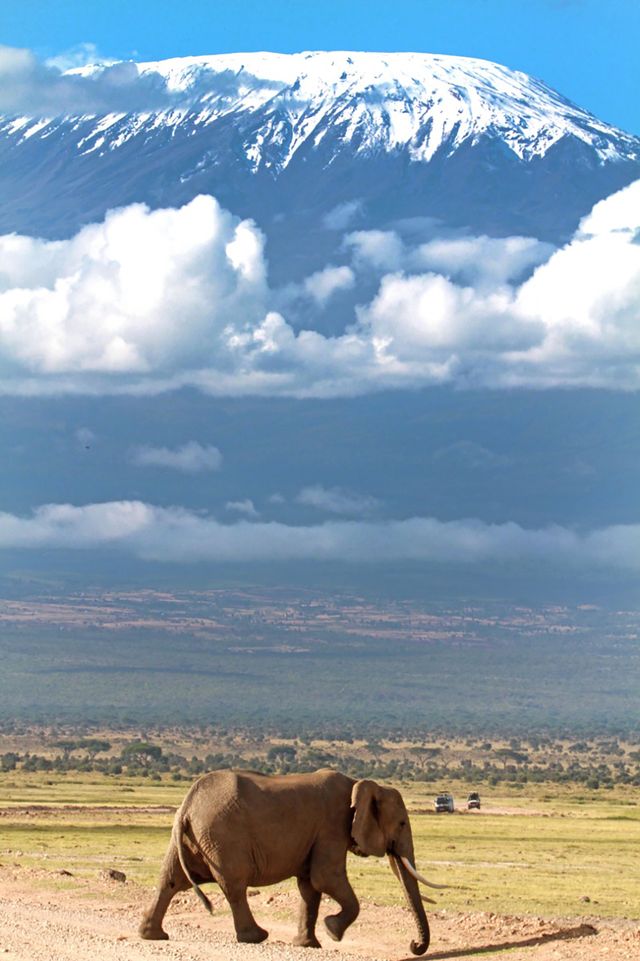 Lemosho Route – Best for Scenery & Success Gallery Photo 2