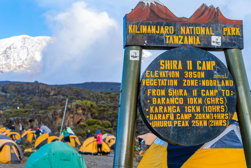 Machame Route – “Whiskey Route” Gallery Photo 2