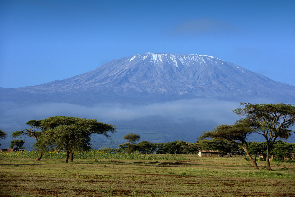 Marangu Route – “Coca-Cola Route” Gallery Photo 1