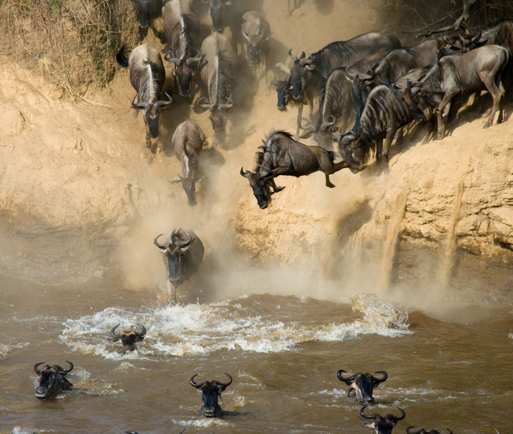10-Day Luxury Wildebeest Migration Safari