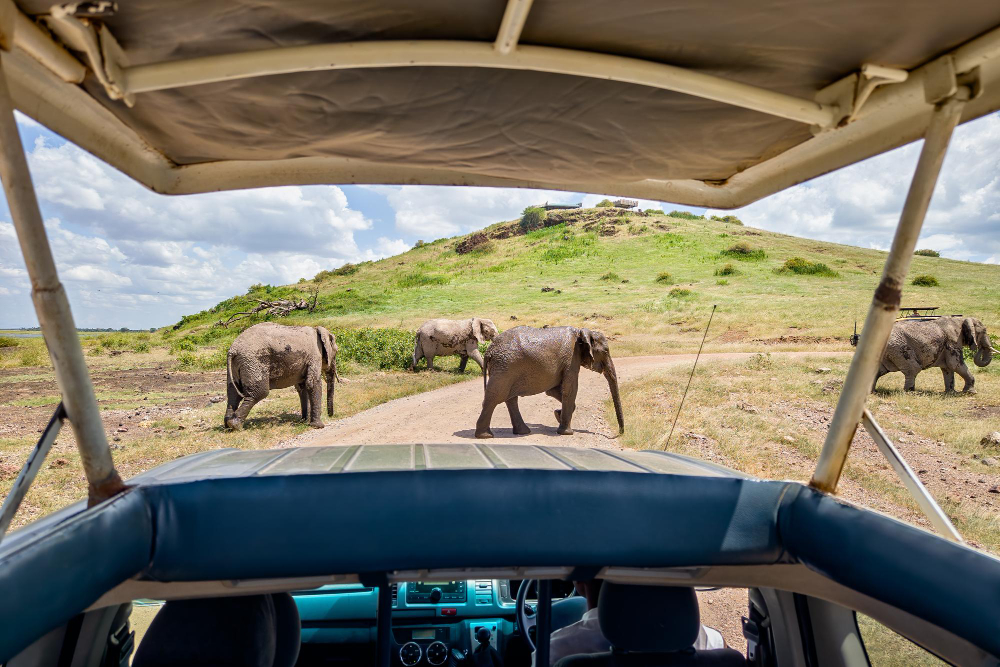 8-Day Great Migration & Big Five Safari
