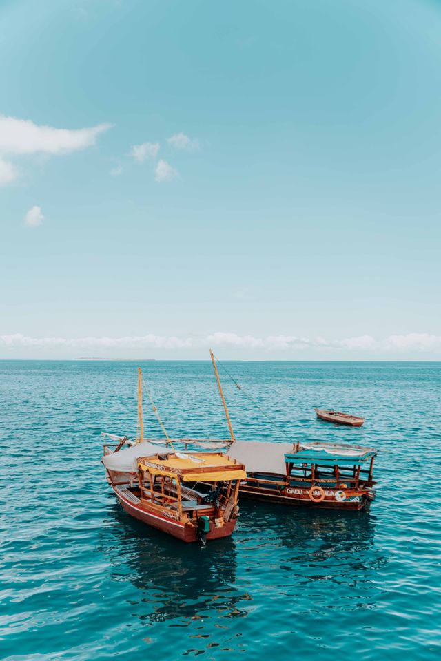 5-Day Zanzibar Beach & Dolphins Tour