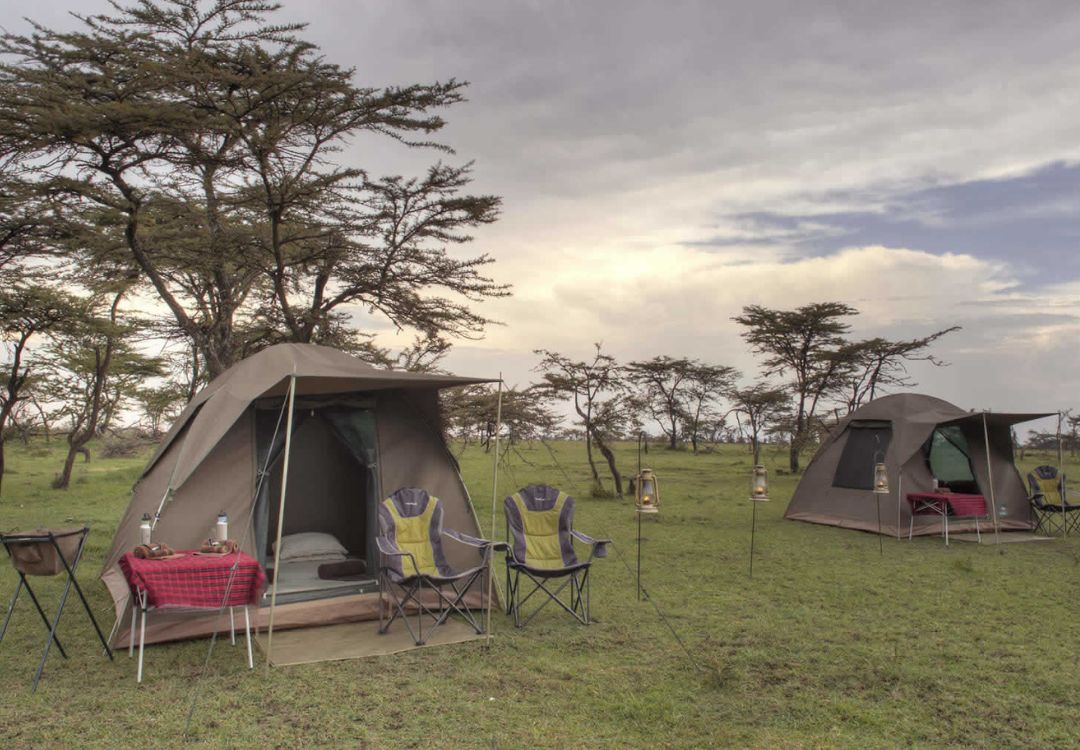 budget camping safari