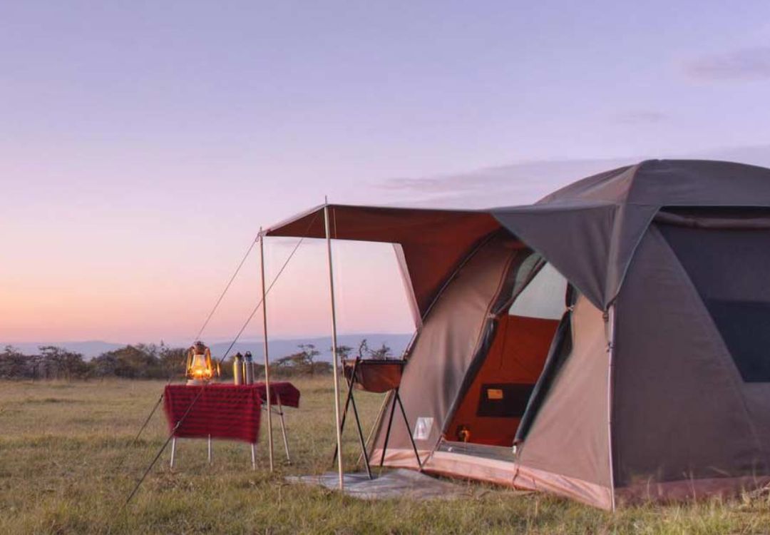 budget camping safari