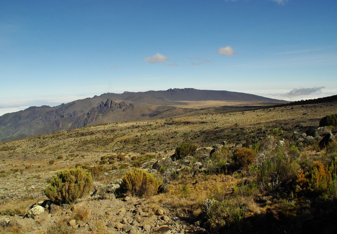 machame route(4)