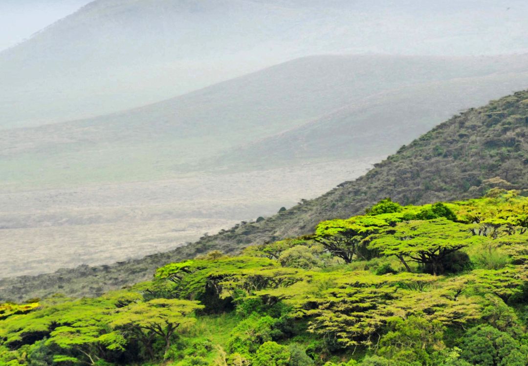 ngorongoro crater