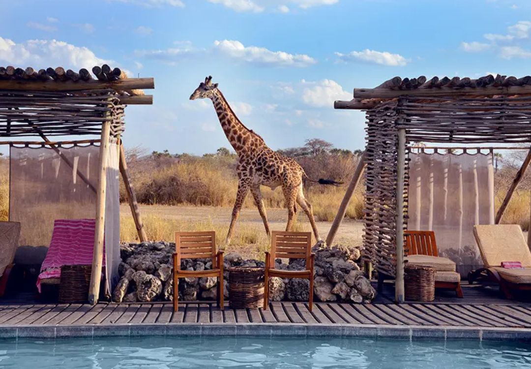tanzania luxury lodge