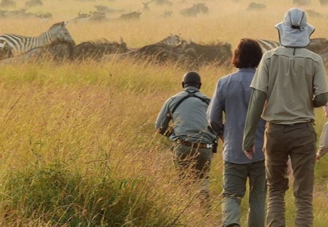 tanzania walking safari